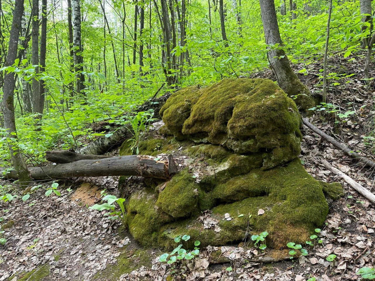 «Каменная чаша. Джиппинг» (с. Солнечная поляна)