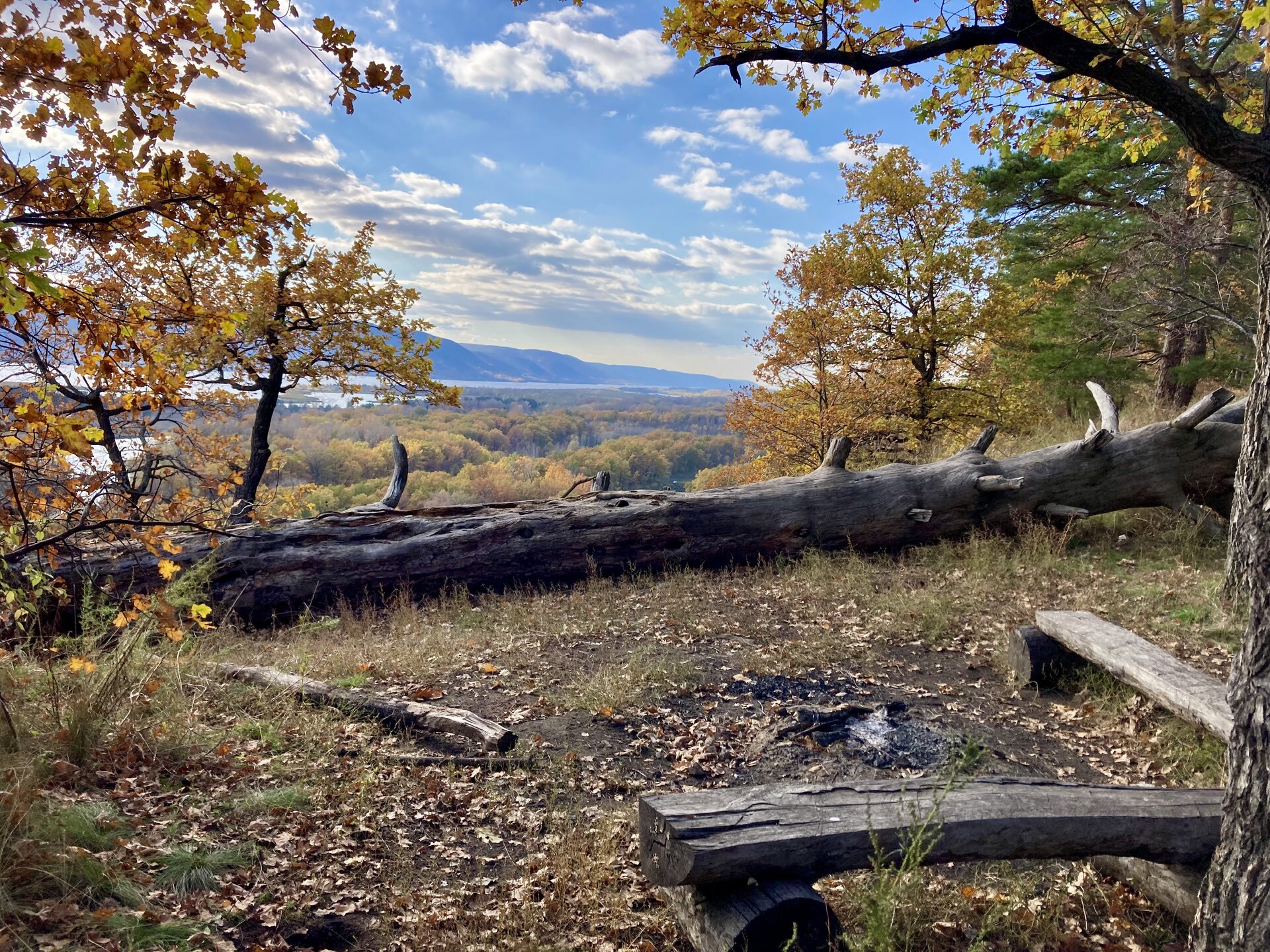 А ну-ка, парни