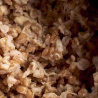 Каша перловая с зельцем