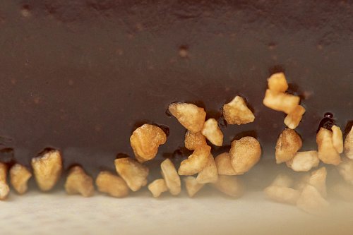 Фундучное финансье с ганашом и карамельным кремю