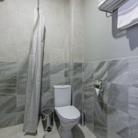 Гостиничный номер Сюит на Самарской Луке