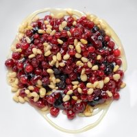 Таёжный десерт из диких ягод с медом или со сгущенкой